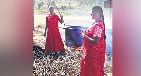 The women of this tribal settlement are using lantana to manufacture furniture and other decorative items to sell to tourists. (File Photo)