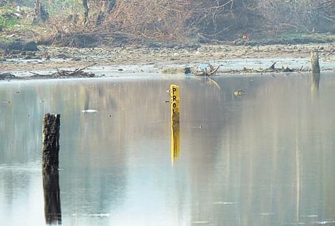 Yellow marker stones placed inside the Odiyur wetland | Express