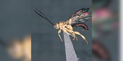 Image used for representative purposes only