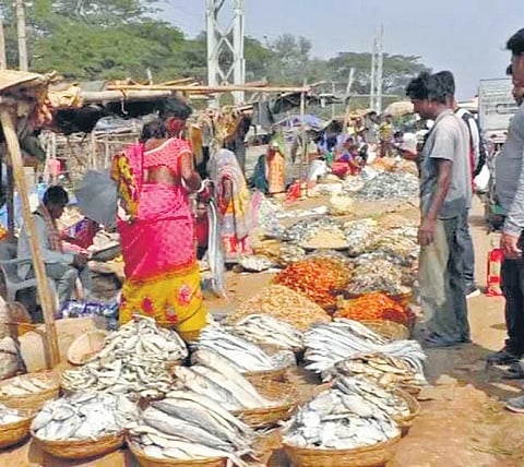Humma dried fish market