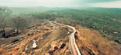 Across the river and into the trees