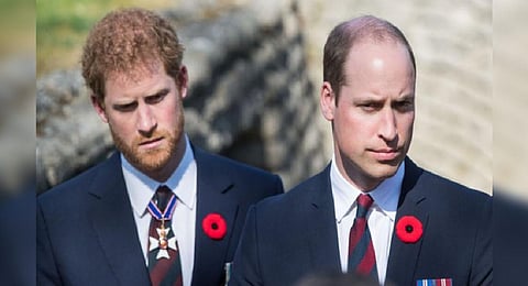 Prince Harry and Prince William (Photo | Twitter)