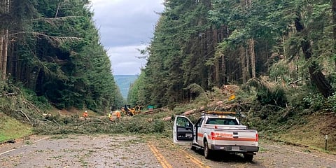 In this photo provided by Caltrans District 1, crews work at removing multiple fallen trees blocking US Highway 101 in Humboldt County near in California. (Photo | AP)