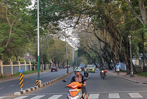 The Kowdiar-Vellayambalam stretch, a part of the heritage corridor, which will be upgraded as part of the ‘Raja Veedhi’ project. (Photo | B P Deepu, EPS)