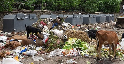 Garbage piled up beside the semi-underground bin placed near Gandhi market in Tiruchy | MK Ashok Kumar