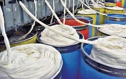 The report pointed out the yarn was procured at Rs 475 when the market rate at the time was Rs 438 | Express
