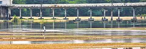 Tamil Nadu to seek 14K cusecs water at CWMA meet