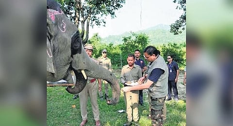 Chief Minister Pushkar Singh Dhami on Friday visited Jim Corbett National Park in Nainital district, known for its tiger habitat.