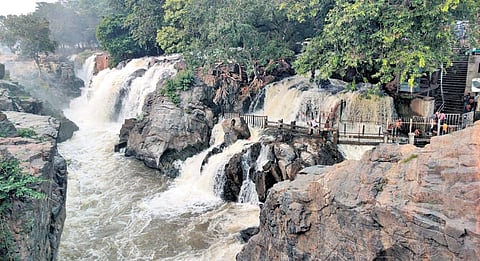 Cauvery water at Hogenakkal in Dharmapuri on Friday | express
