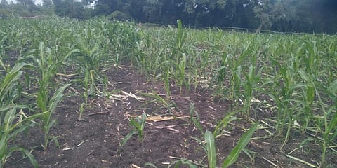 Image used for representation purposes only