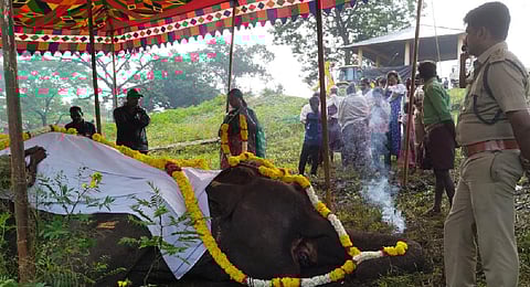 Kumki elephant Moorthy being laid to rest at at Theppakadu Elephant Camp (Prasad G, Forest Range Officer)