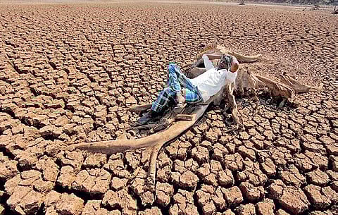 Urgent call for Karnataka government action in face of looming farming crisis