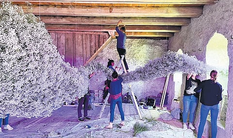 Floral installation at Wildegg Castle, Switzerland
