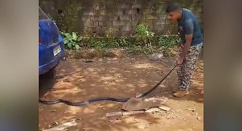Karwar family had a surprise guest on their car ride... a king cobra
