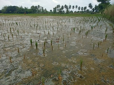 Image used for representational purpose.