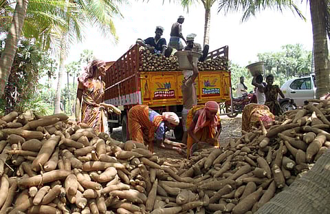 Image used for representational purpose.