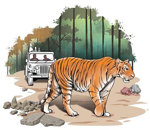 Image used for representational purposes.