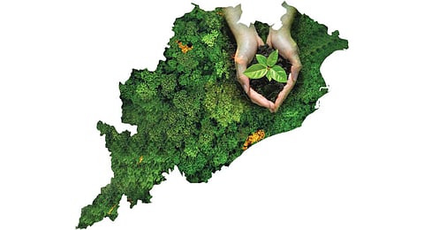 Image used for representational purpose.