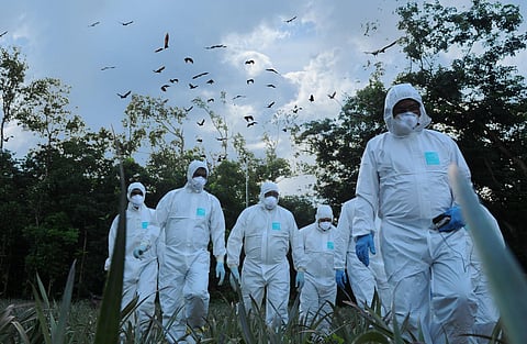 Image used for representational purpose. (Photo | Express)