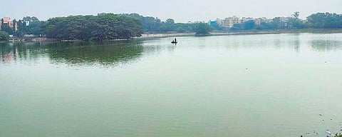A view of the Vibhutipura Lake in Bengaluru | EXPRESS