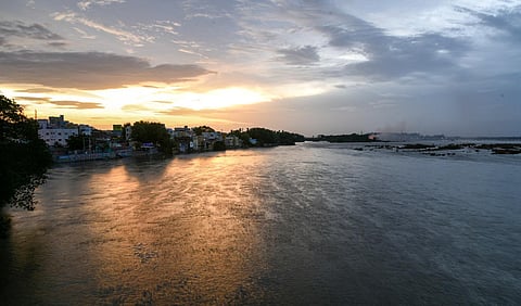 A view of Cauvery river in Tiruchy. (Photo | M K Ashok Kumar)