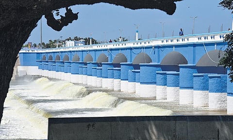 Release 2,600 cusecs water to Tamil Nadu for 23 days from Nov 1: CWRC to Karnataka