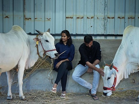 Vaaradhi Farm.