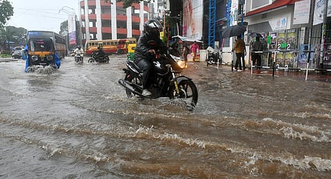 Image used for representational purposes only. (Photo | B P Deepu, EPS)