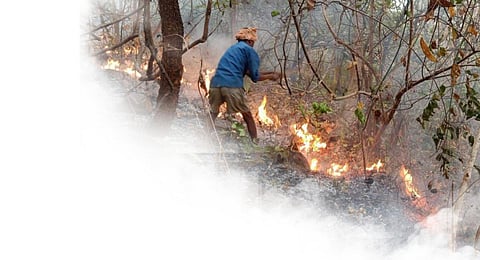 Wildfire season approaching. Act early to cut loss, says expert