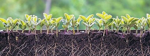 Image used for representational purpose only. (File Photo)