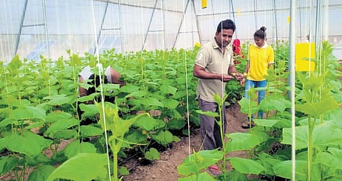 Ramchandra Rathod inspires farmers through his innovations.