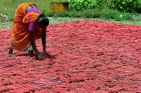 Image used for representational purpose only. (Photo | PTI)