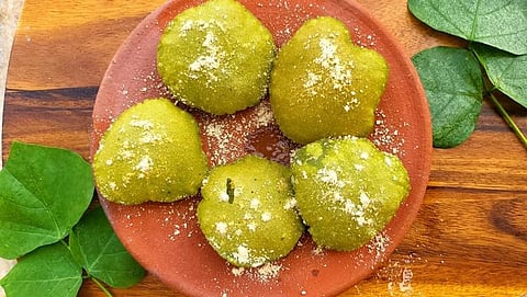 Mullu murungaivadai. (Photo | Express)