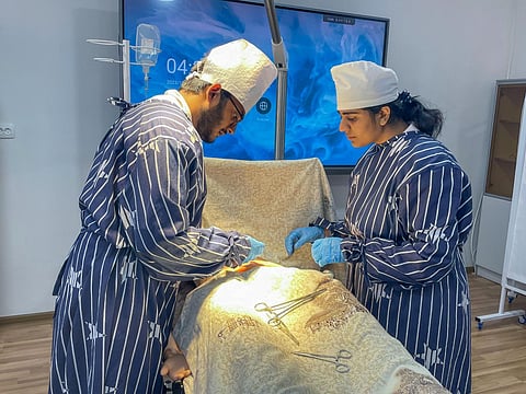 Indian MBBS students who were rescued from Ukraine, studying in Uzbekistan's Samarkand. (PTI)