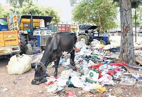 (Photo | Ashwin Prasath)