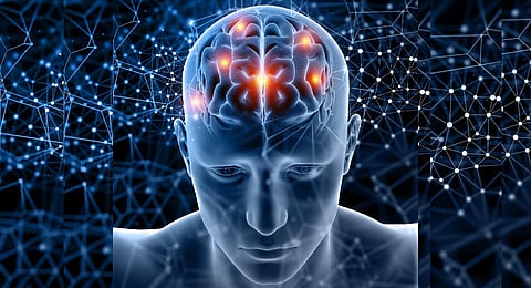 Our brain can't 'rewire' itself, say neuroscientists contradicting popular view