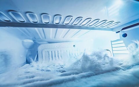 Capsule 2. (Photo | Express)