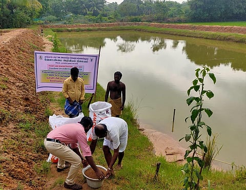 A KVK expert distributing floatable feed near Mayiladuthurai | Express