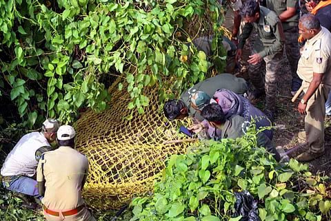 Forest department officials and police personnel capture a leopard from a residential area, in Bengaluru, Wednesday, Nov. 1, 2023. (PTI)