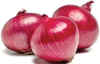 Image used for representational purpose only. (File Photo)