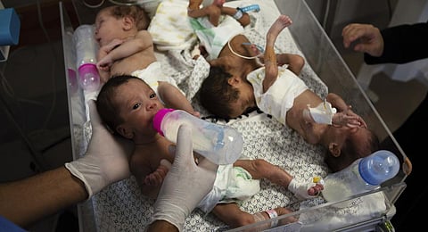 Medics prepare premature babies for transport to Egypt after they were evacuated from Shifa Hospital in Gaza to a hospital in Rafah, Monday, Nov. 20, 2023.(Photo | AP)