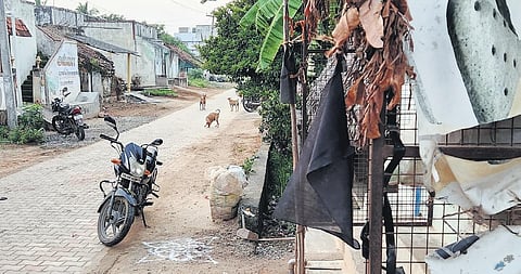 Melma villagers had hoisted black flags in protest against the arrest of farmers | File pic