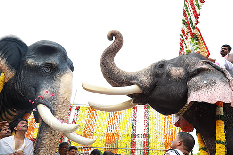 The procession culminated at the Kesavan statue, located in front of the Sreevalsam guest house, where heartfelt tributes were paid. (Photo | Special Arrangement)