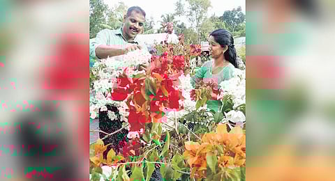 Siji and his wife Shyama nurturing bougainvillea plants at their garden in Kanjikuzhy, Alappuzha