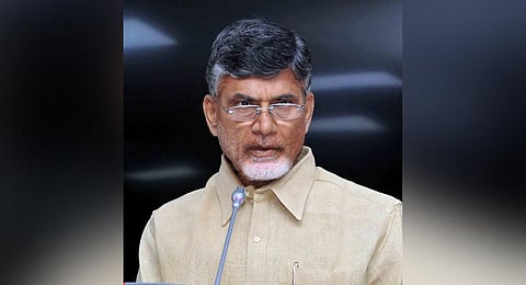 Former Andhra Pradesh Chief Minister and TDP chief N Chandrababu Naidu (Express)