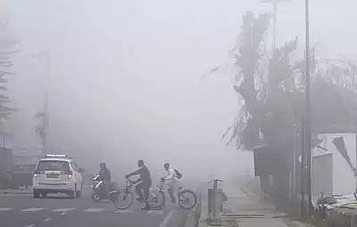 Cyclists cross a road amid dense fog, in Srinagar, Tuesday, Nov. 21, 2023. (Photo | PTI)