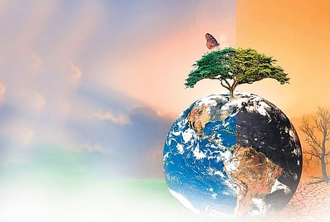 Image used for representational purpose only. (File Photo)