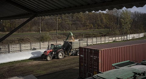 Grain is unloaded from plastic silo bags at a handling and storage facility in central Ukraine. (Photo | AP)