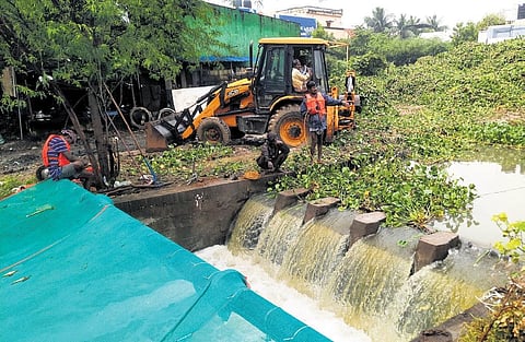 Corporation workers clearing hyacinths at Putheri lake in Pallavaram | Ashwin Prasath