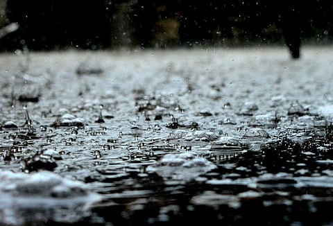 Recent rain brings hope to Prakasam ryots